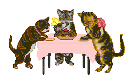 Kittea Party