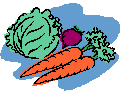 Vegetable